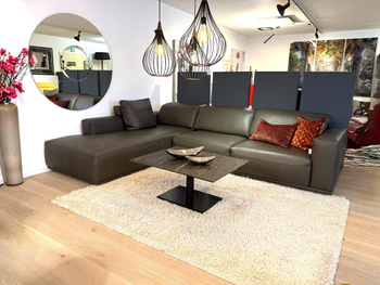 Design-Ecksofa Gyform Focus in Terra Leder auf Hochflorteppich