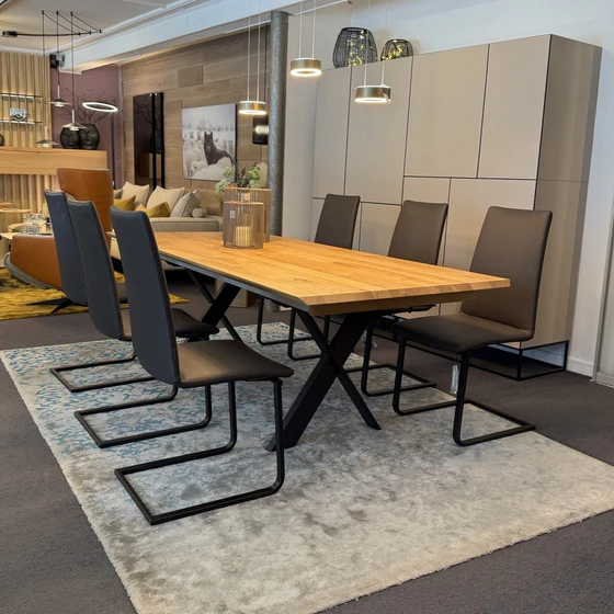 Esszimmer Stuhlgruppe 6 Stühle modern Leder braun, Freischwinger