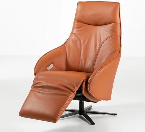 AERA TW248 / Signa 248 Relaxsessel – Frontansicht in Leder Runner Cognac mit Fuß 32