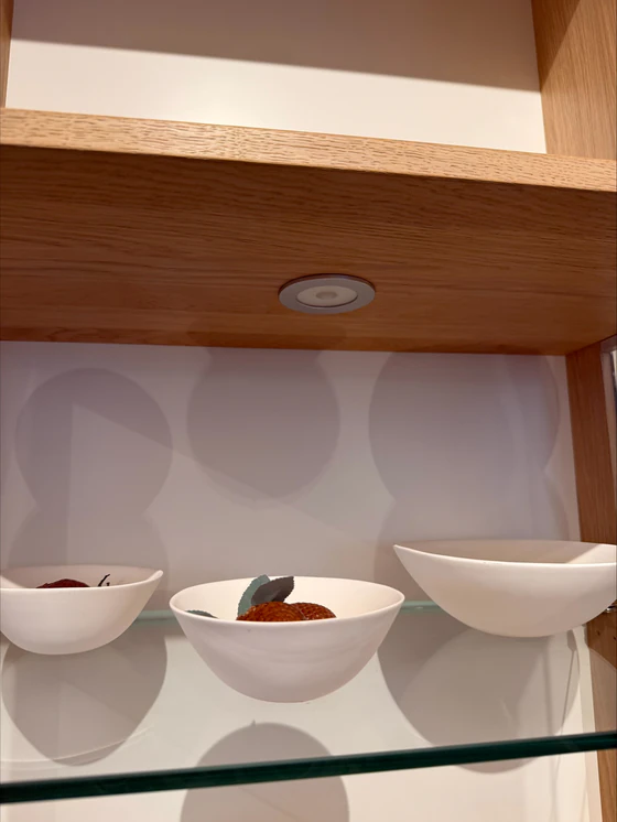 Detail des LED-Einbaustrahlers in der ANREI Puro Vitrine mit Glaseinlegeboden und weißer Rückwand
